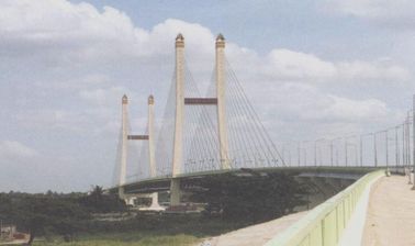 Customized Cable Stay Bridges